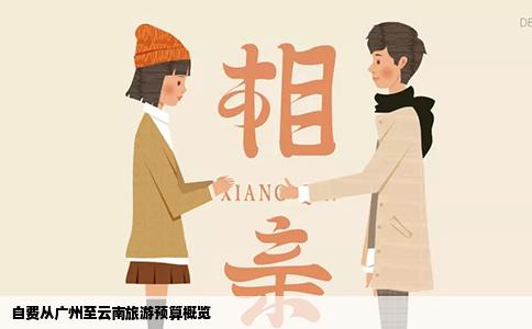 自费从广州至云南旅游预算概览
