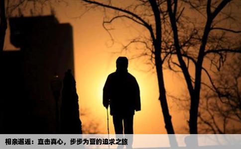 相亲邂逅：直击真心，步步为营的追求之旅