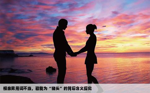相亲男用词不当，称我为“猪头”的背后含义探究