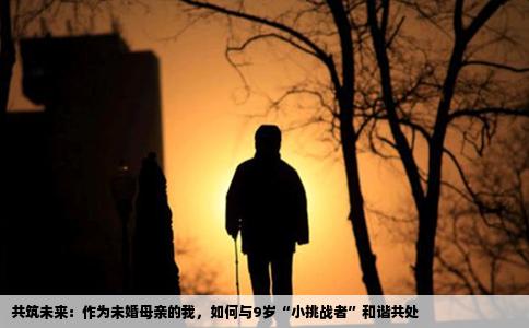 共筑未来：作为未婚母亲的我，如何与9岁“小挑战者”和谐共处