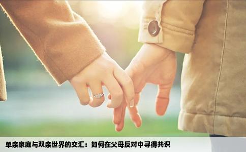 单亲家庭与双亲世界的交汇：如何在父母反对中寻得共识