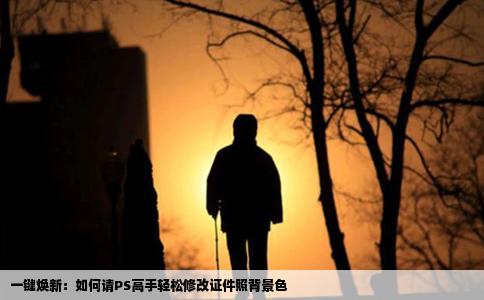 一键焕新：如何请PS高手轻松修改证件照背景色