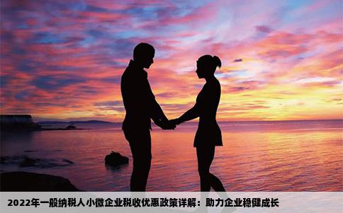 2022年一般纳税人小微企业税收优惠政策详解：助力企业稳健成长
