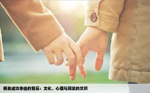 相亲成功率低的背后：文化、心理与现实的交织