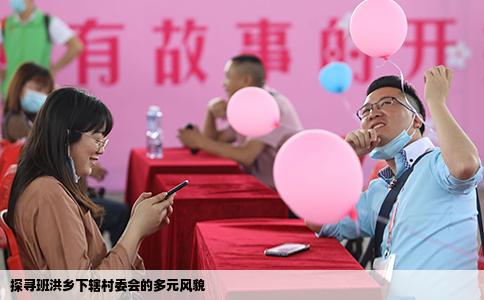 探寻班洪乡下辖村委会的多元风貌