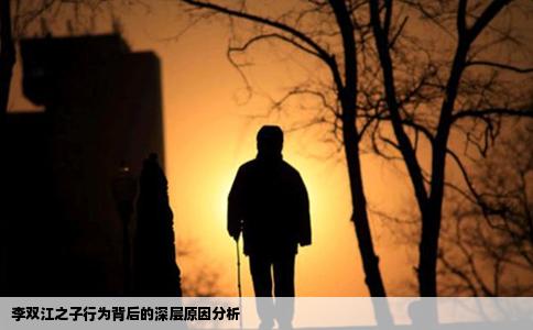 李双江之子行为背后的深层原因分析