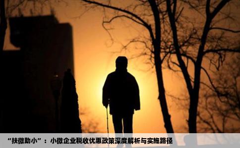 “扶微助小”：小微企业税收优惠政策深度解析与实施路径