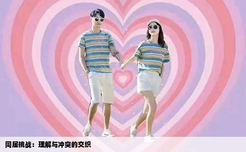 同居挑战：理解与冲突的交织