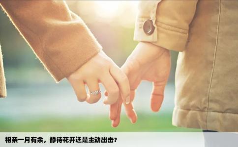相亲一月有余，静待花开还是主动出击？