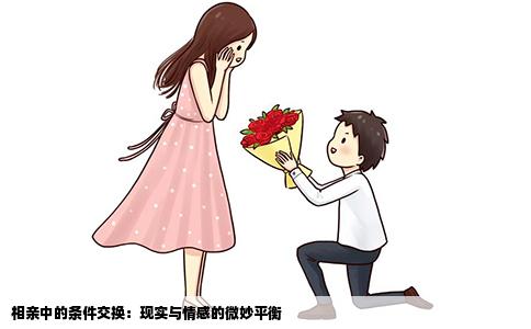 相亲中的条件交换：现实与情感的微妙平衡